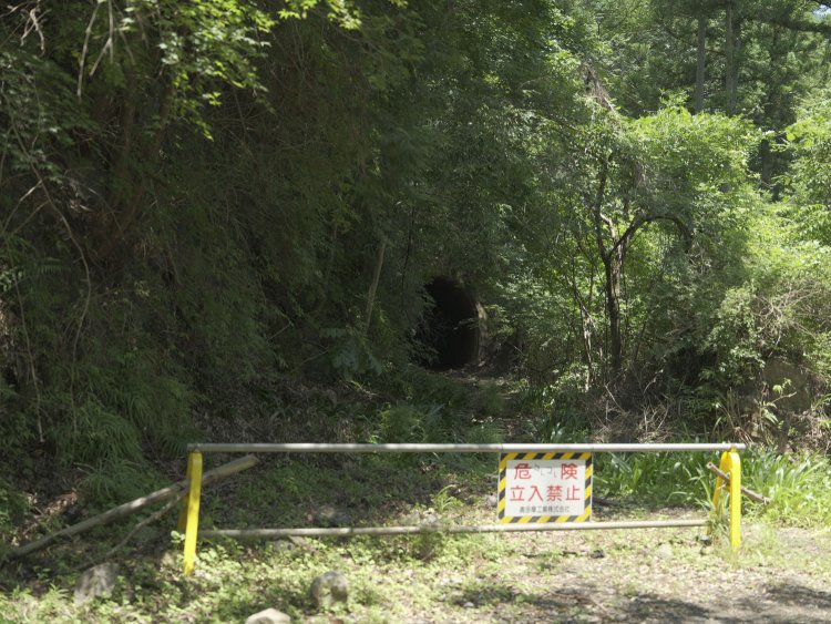 踏切？に到達すると柵の向こうに第三氷川トンネルが！　看板の「コレコレ」といういたずら書きは何を意味するのだろう。