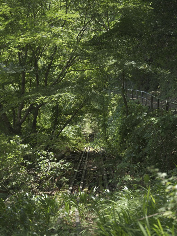 踏切？から橋梁部分を覗いてみる。いつ崩れてもおかしくないほど枕木は腐りかけていそうだ。
