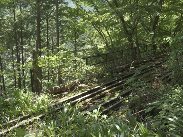 剥がされないままの線路脇の枕木は苔むしてきている。