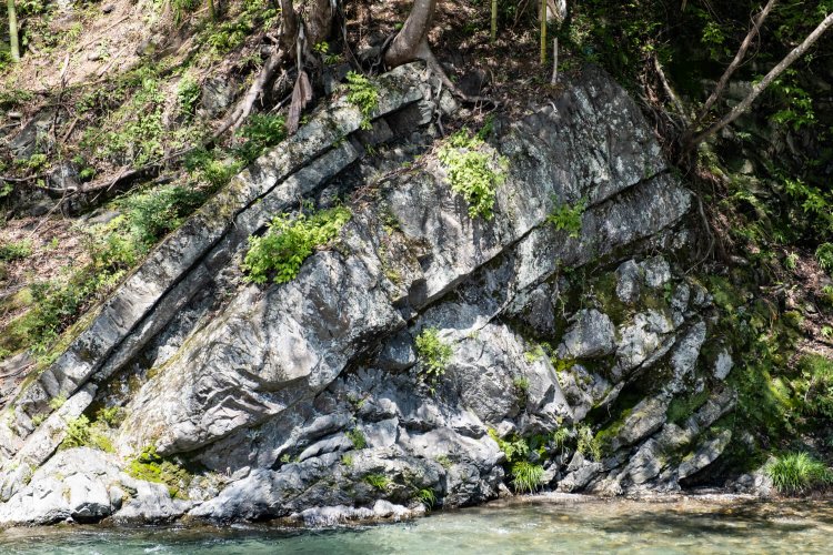 大地が曲げられた様子がはっきり分かる大桑原のしゅう曲。