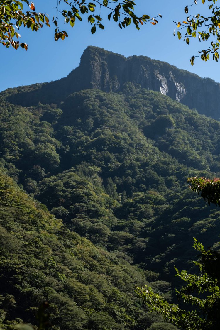 内山峠へ向かう国道254号から見上げた迫力ある艫岩。