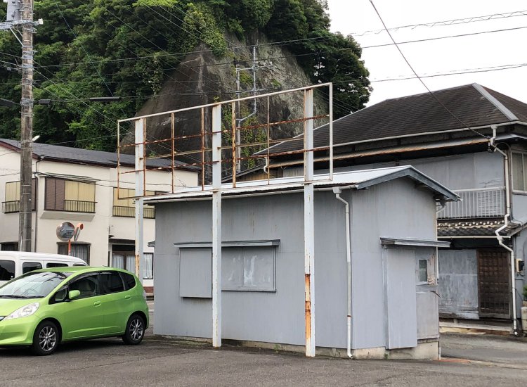 Skeleton model 骨格標本