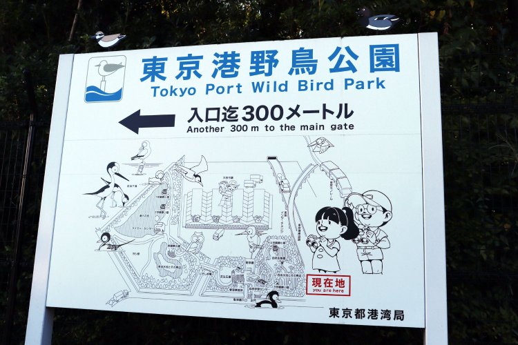 野鳥公園の看板。