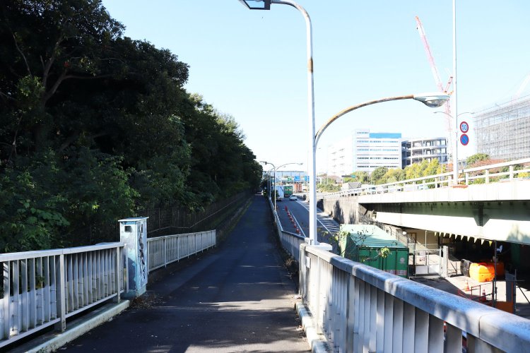 左手は野鳥公園。道路を挟んで反対側は工場地帯。