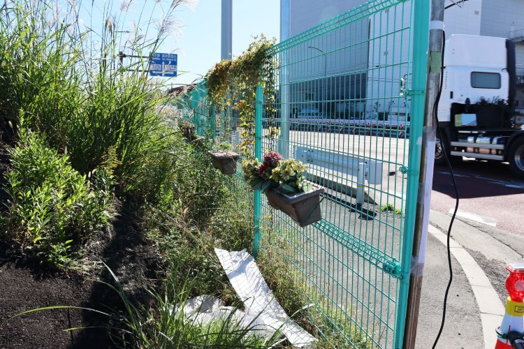 造花のプランターを植物が襲う。