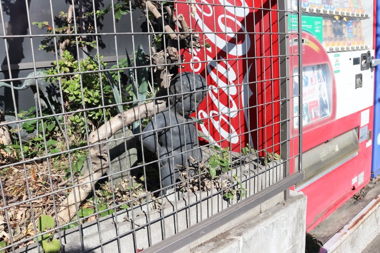 歩道に向かって用を足す小便小僧。