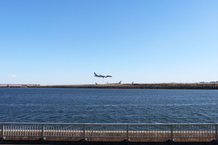 今まさに着陸しようとしている飛行機。