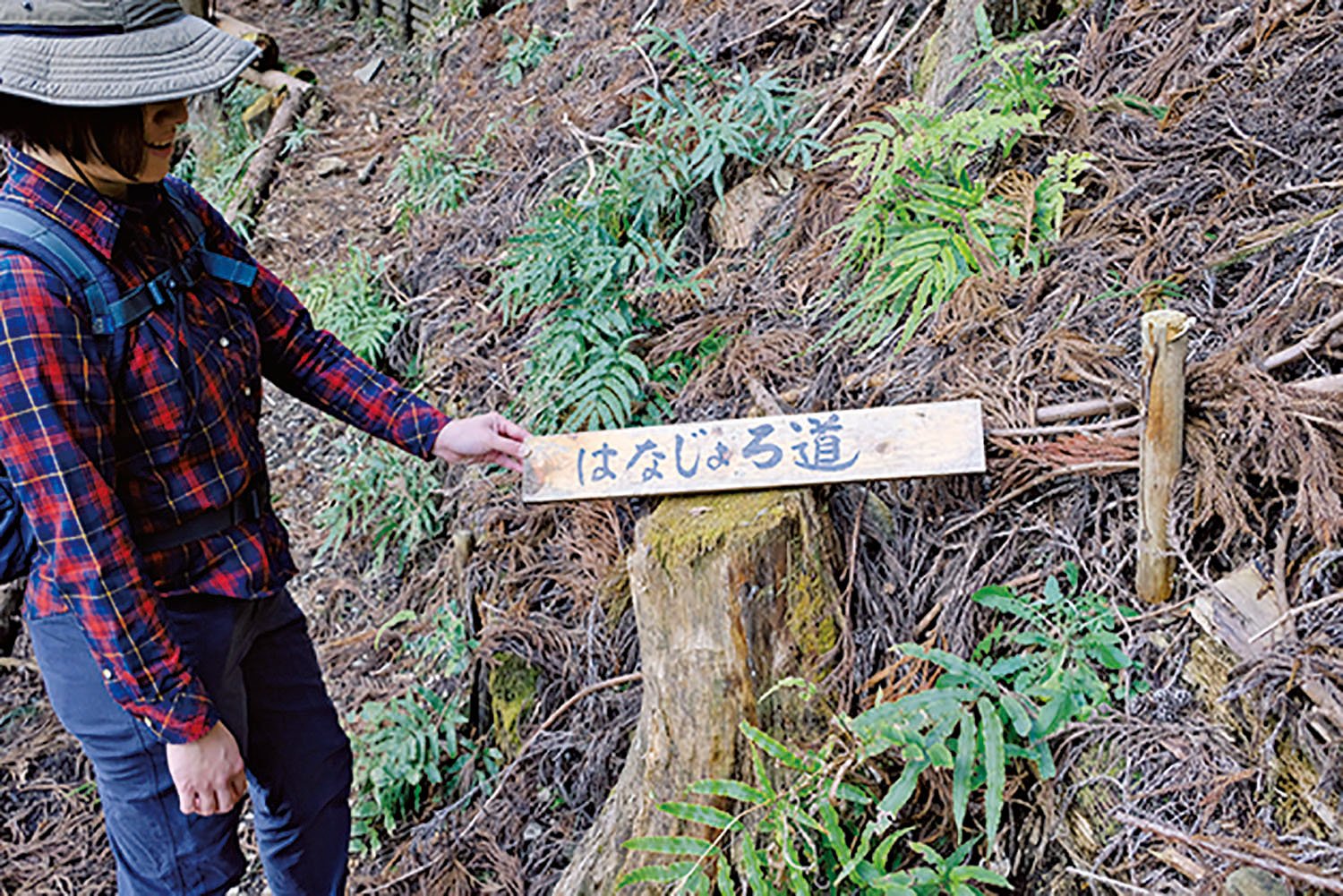 ヒネゴ沢沿いの登山道には手書きの道標が何箇所もある。