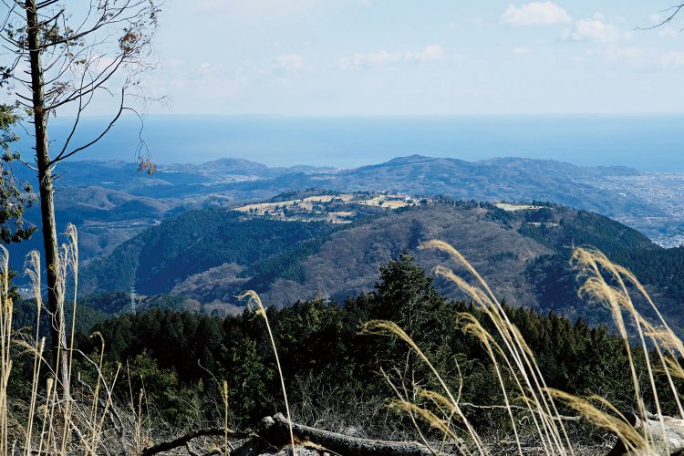 高松山山頂から松田山を望む。