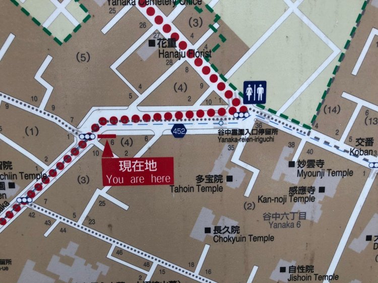 道路を先に作っておけばいいのにね、とエルボーもいう。  おっしゃるとおり。