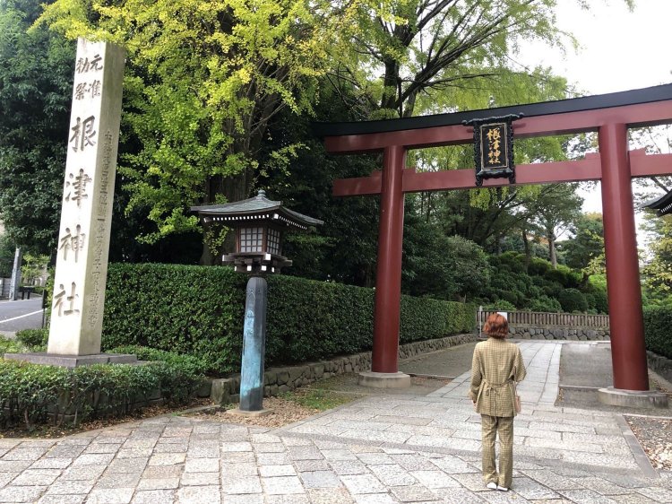 緑と褐色の鳥居のコントラストの鮮やかさ。深呼吸が気持ちいい。