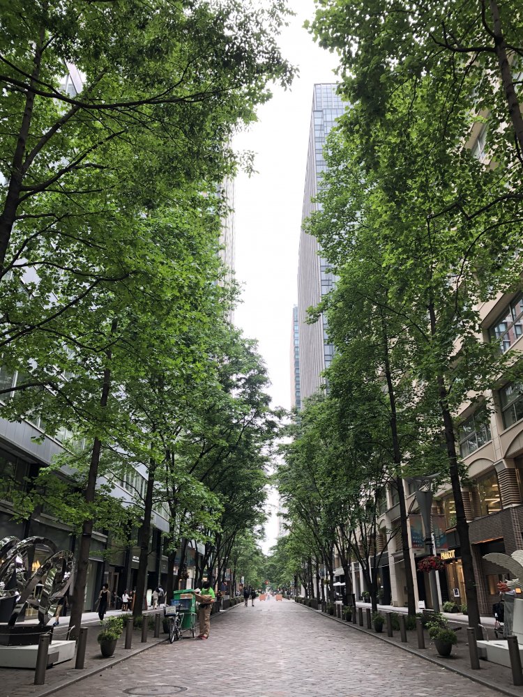 丸の内仲通りも、昔と違ってとってもオシャレに変貌。12月になると通りはクリスマス・イルミネーションに彩られる。