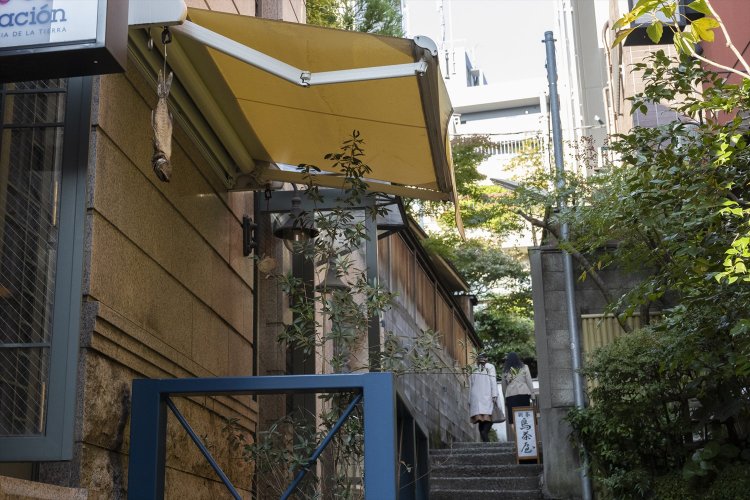 ロケ地でも有名な芸者小道。この手の味な石段と石畳の脇道が方々に少しずつ伸びている。