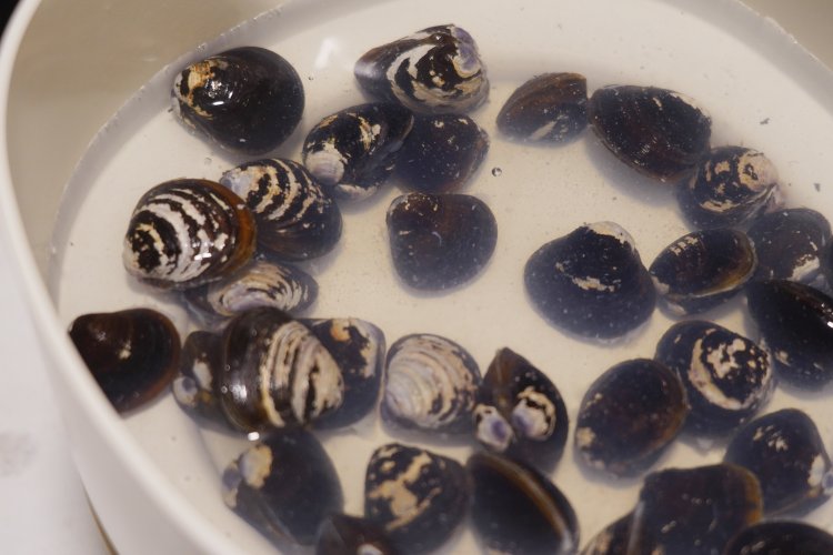 とっとり・おかやま新橋館