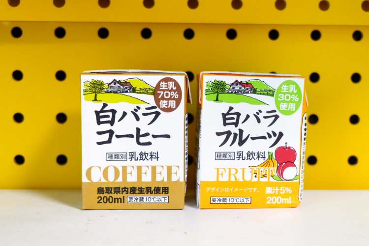 説明不要の白バラも！