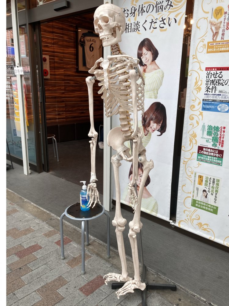 赤羽のガイコツ。実際こんな人がいたら「姿勢が悪い！」と一喝されそう。