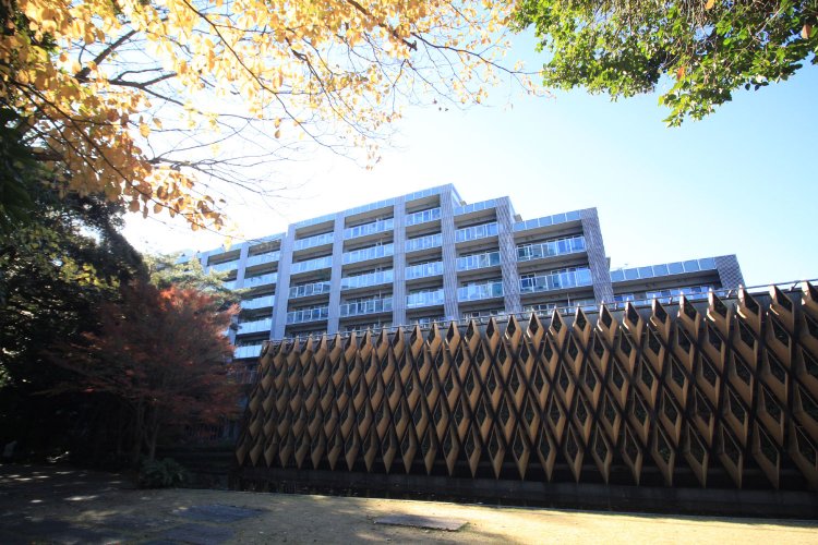 「パークコート神宮前」のコンセプトは「表参道　杜の上に住む。」。The Forestからは保存林が、The Airからは代々木公園や明治神宮、高層ビル群が見える。