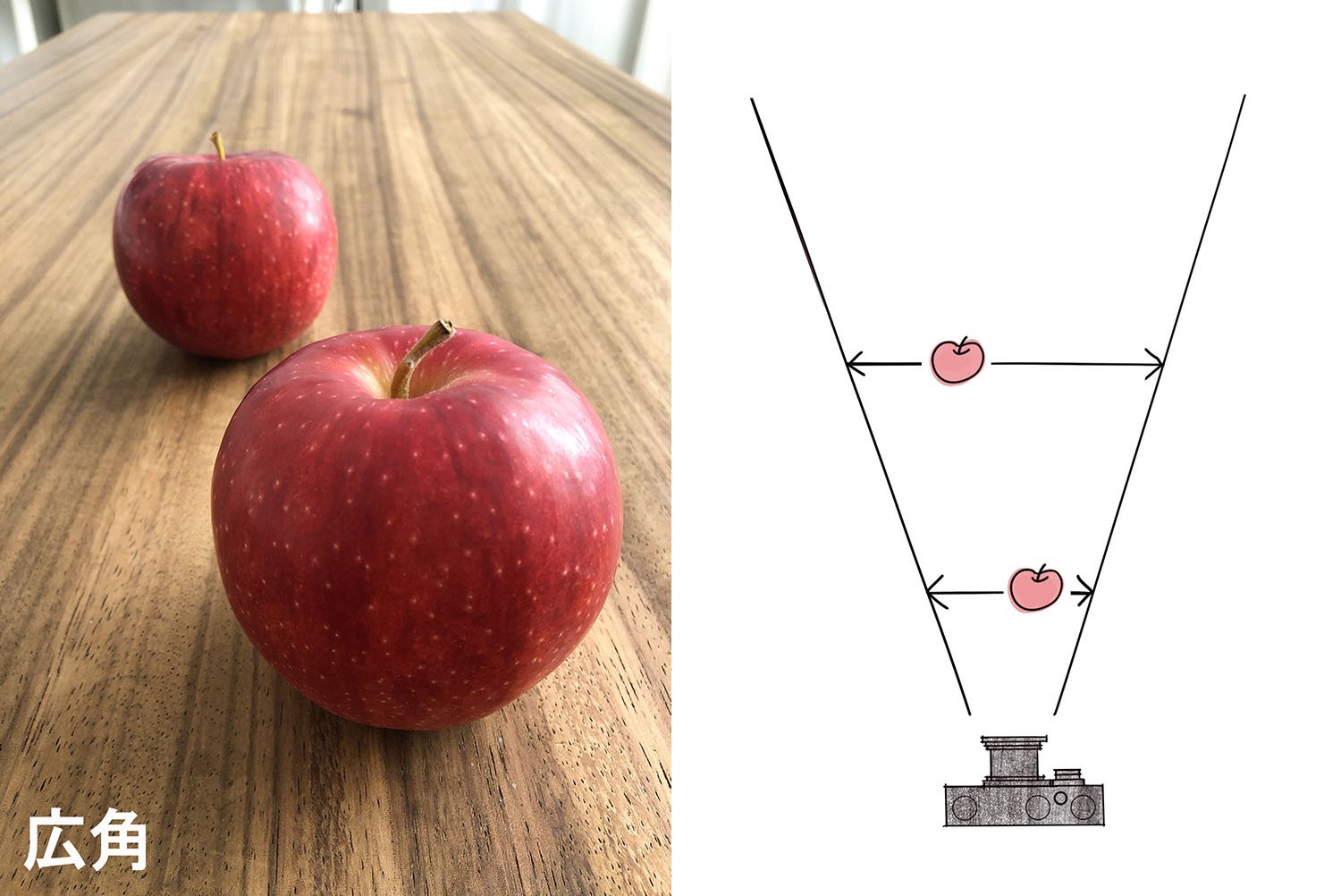 広角で撮った例。遠近感が強調されて奥のリンゴがより小さく見える。