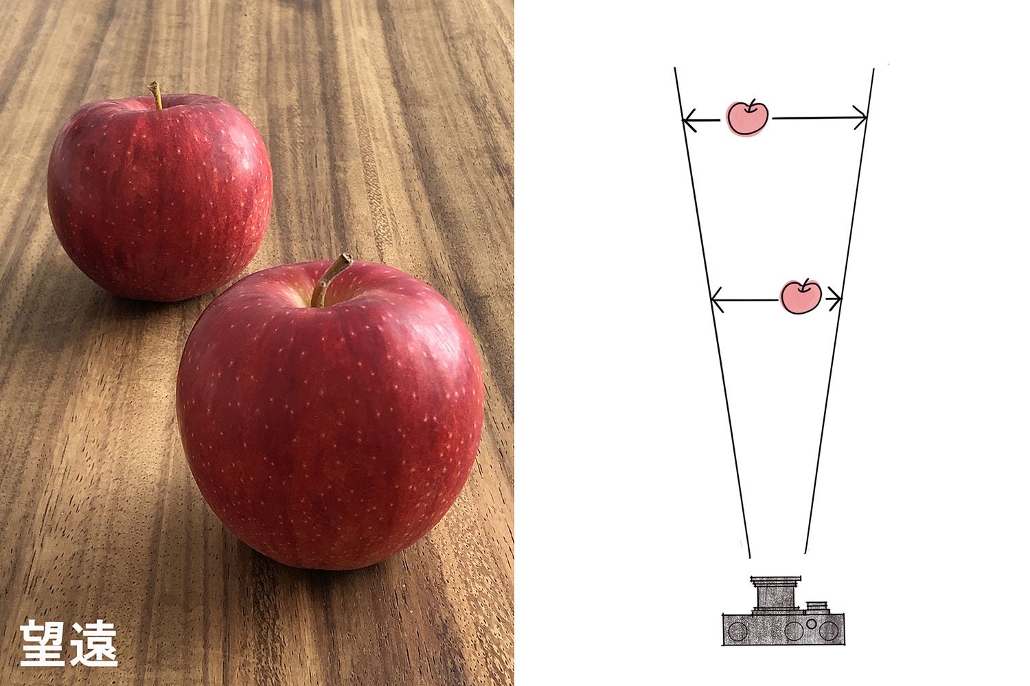 望遠で撮った例。遠近感が強調されないので広角で撮った時よりも奥のリンゴが大きく見える。