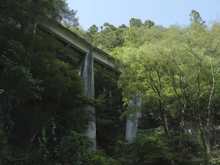 青梅街道の真上に聳える白髭橋梁。高さは20数メートルといったところか。かなりの高さを走っていた。