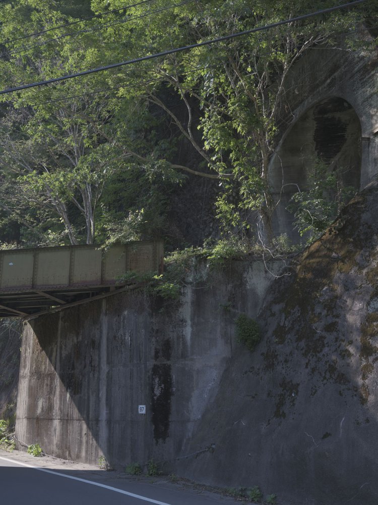 水根トンネルと第二水根橋梁。青梅街道から観察できる。木が生えているのがお分かりいただけるだろうか。