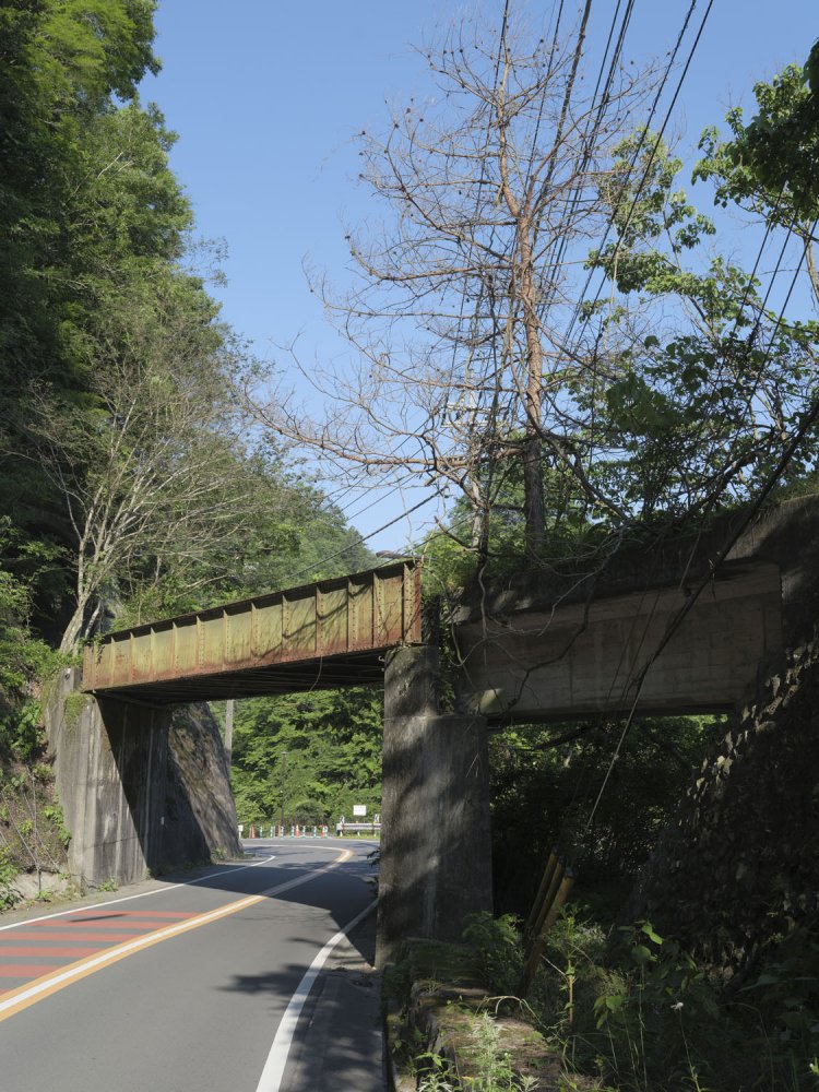 潜った先で振り返ると……木が生えている。このまま成長してほしい。