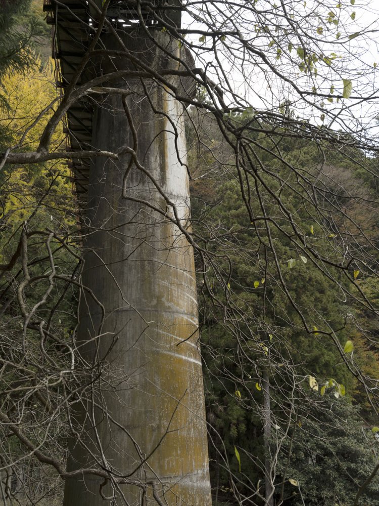 斜面を上がる小道から第四境橋梁へ近づく。コンクリート橋脚は苔が生え長年の垢が染み付いていた。