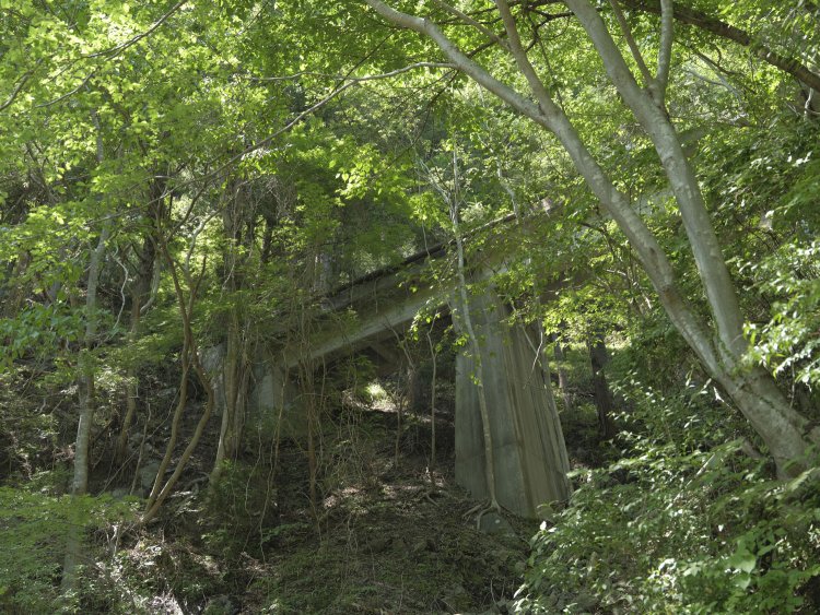 小留浦(ことずら)の橋梁群その２。道路が稜線に沿って左へカーブするたび、山肌にRC桁が見えてくる。