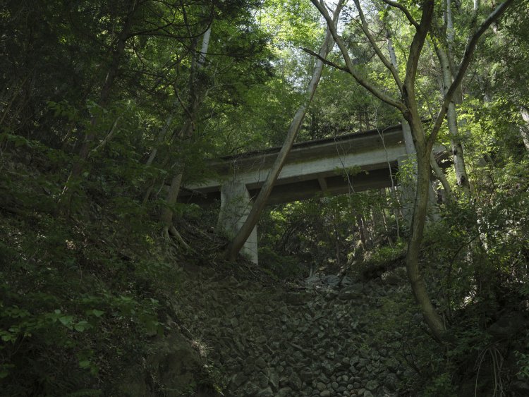 小留浦(ことずら)橋梁群その３。ここはかなり木々が茂っている。ここをC11が走っていたのか。