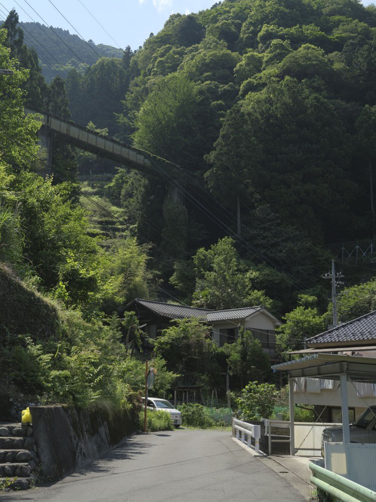 第四境橋梁の威容。蔦が絡まり巨大な遺跡の雰囲気を感じる。ここをC11が走っていた。