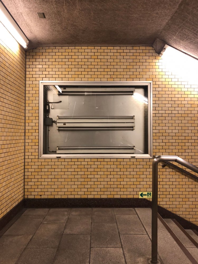 Display of fluorescent tubes as one of the endangered species 《絶滅危惧種の展示ケース、蛍光管》