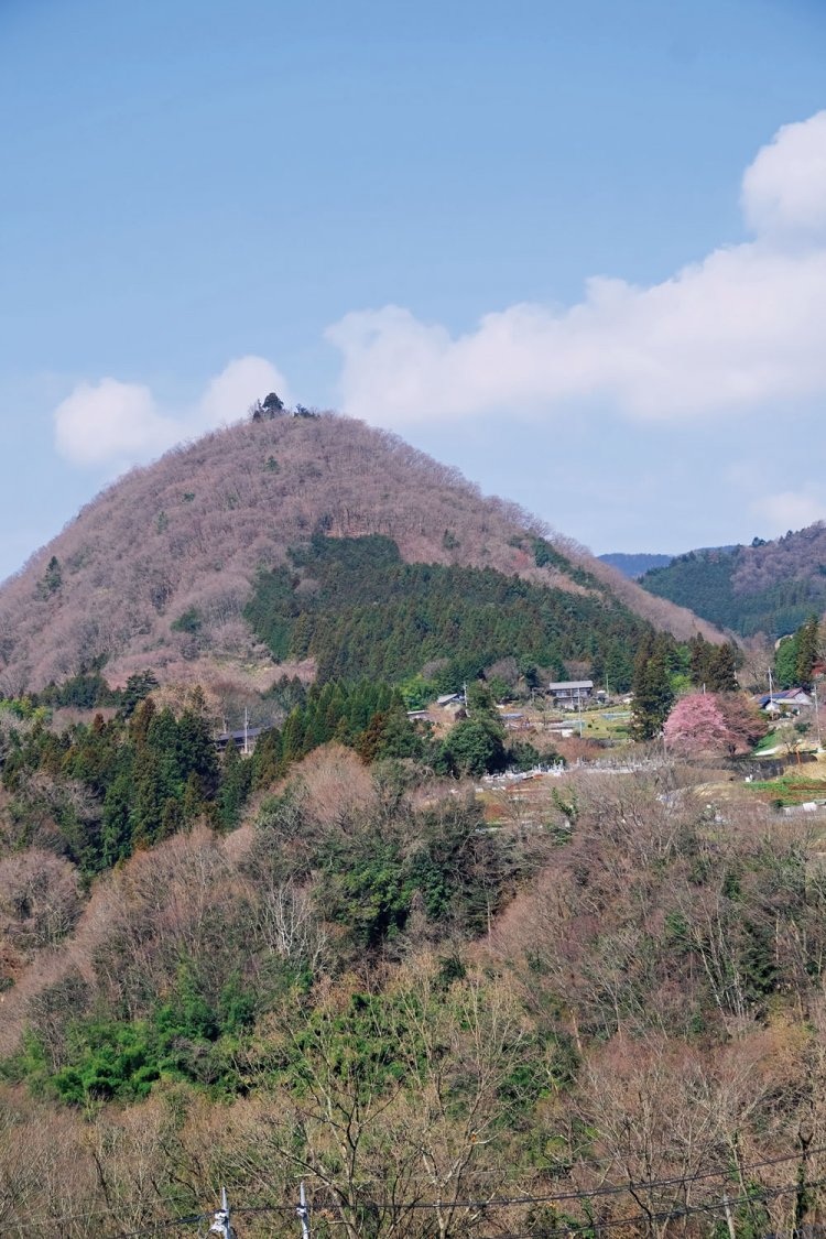 新井バス停から鏡渡橋へ向かっていると要害山が見えてくる。地元では、おっぱい山と呼んでいるとか。