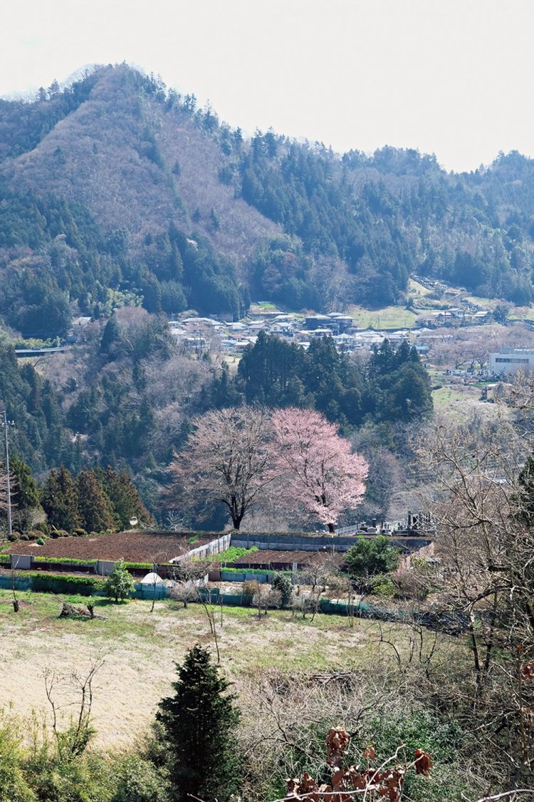 小倉集落から鶴川の東側になる能岳方面の眺望。左の小高い山は、標高468ｍの虎丸山だろう。