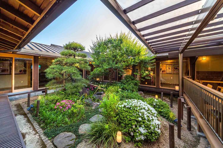 花や緑に囲まれた中庭の風景。