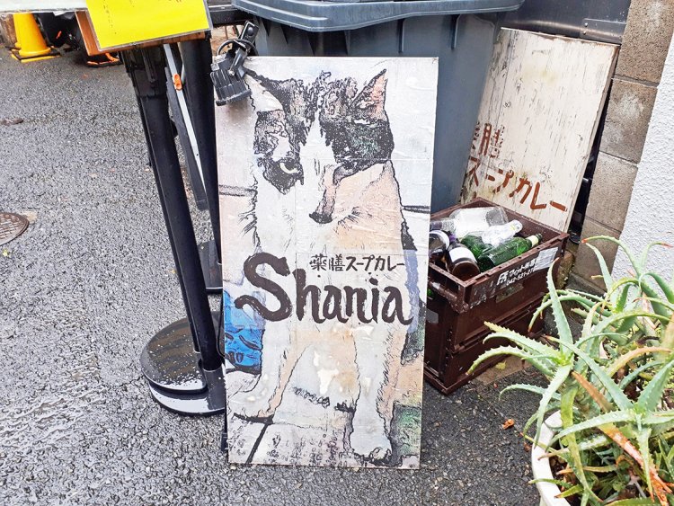 “看板猫”がお出迎え。