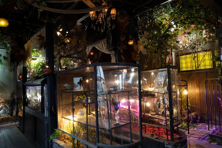 高円寺　エセルの中庭