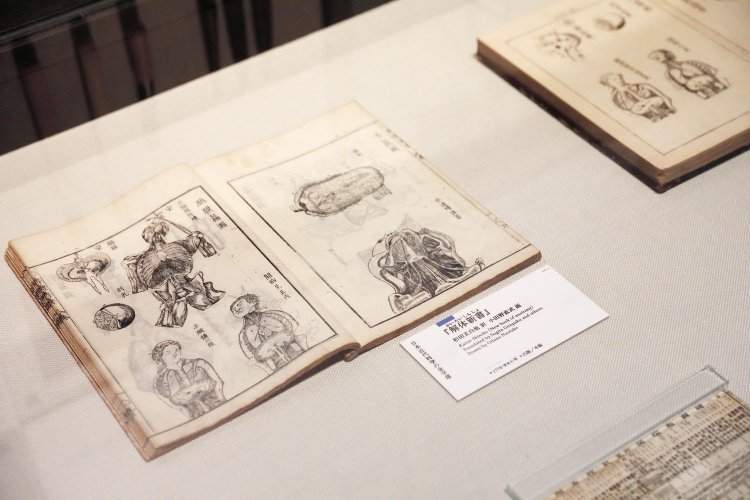 木版摺りの『解体新書』と銅版による『重訂解体新書』を見比べられる。