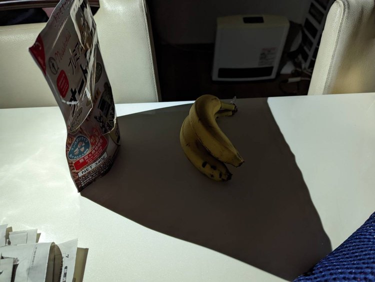 日照を阻害しているオートミールの袋。