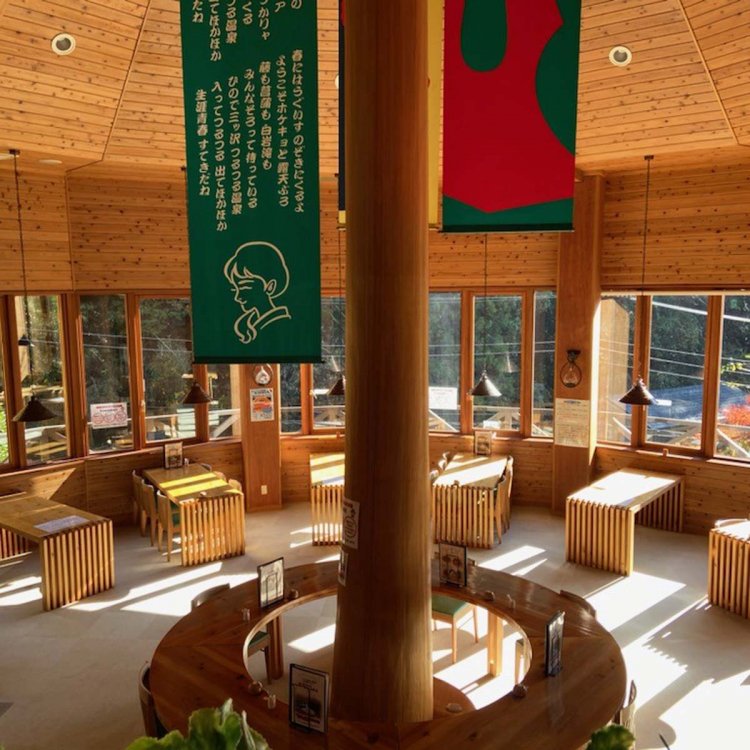 木の温もりを感じるパノラマ食堂。周囲の景色と料理に心もおなかもいっぱい。 