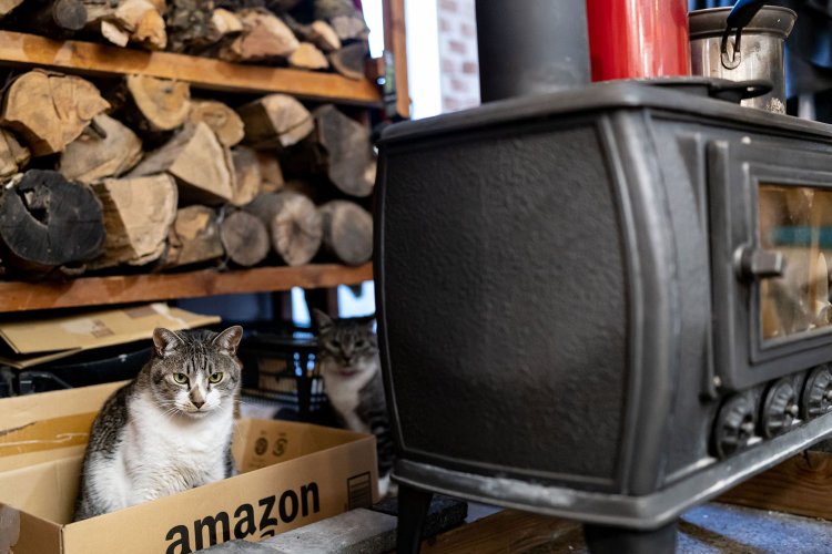 理容あいりがっと