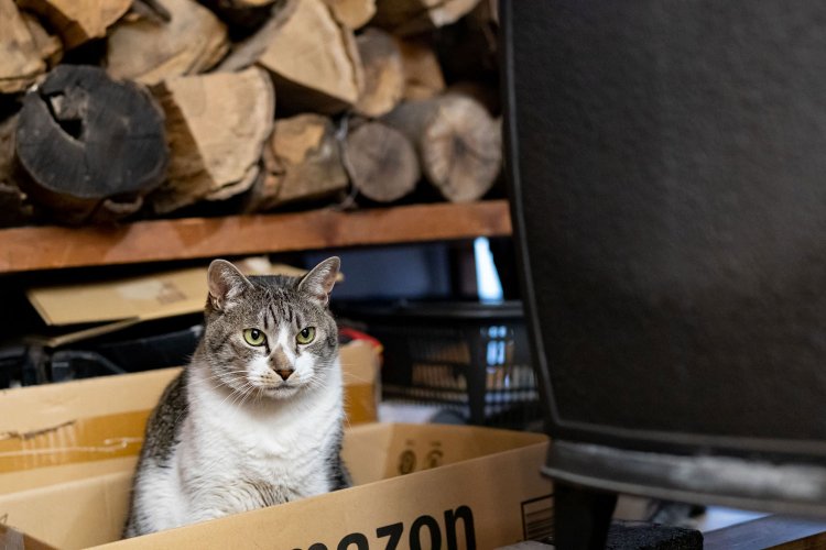 理容あいりがっと