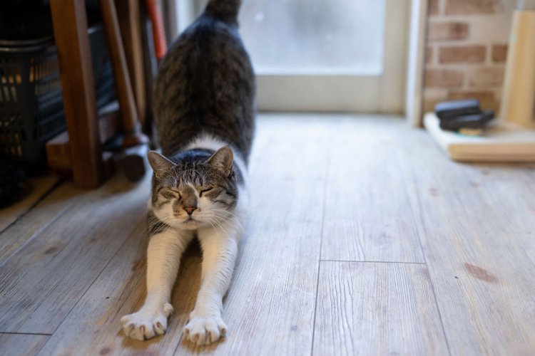 理容あいりがっと