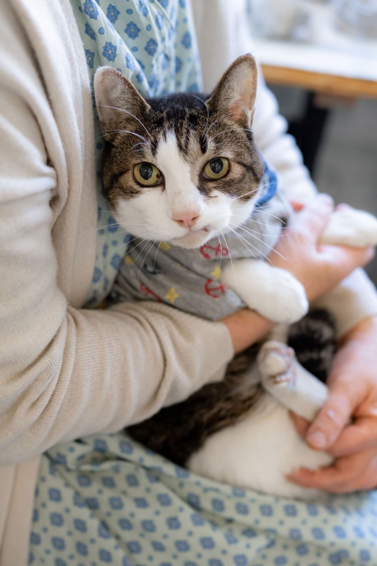 ゆかりさんに抱かれて登場してくれた初代看板猫コタローくん。