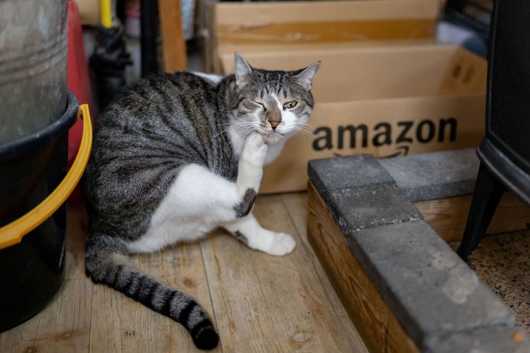 理容あいりがっと