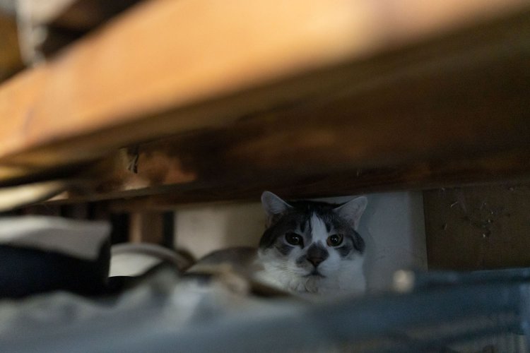 理容あいりがっと