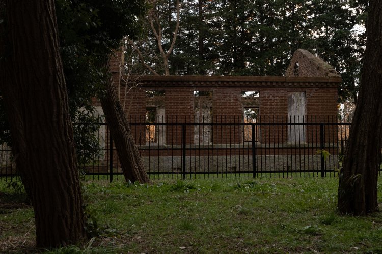 すくすくと育つ木々に囲まれている。このまま美しい状態で保存されていってほしい。