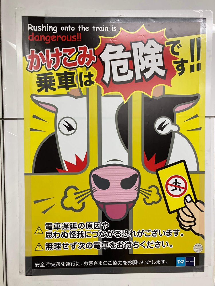 2021年、2月に入ってようやくウシが発見された時には、「イテテテ」となりながらも喜んだ。