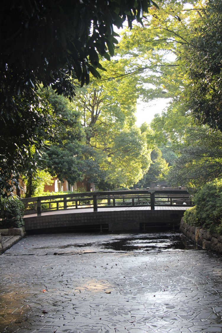 親水公園のような空間もある。