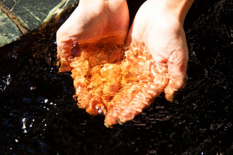 堆積した有機物が黒色の正体だ。あと何億年か経てば石油になるかも？