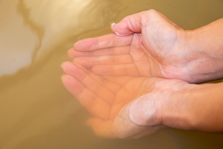 茶褐色の湯。鉄分やヨウ素でこの色になることも多い。色は似てても泉質は多様。